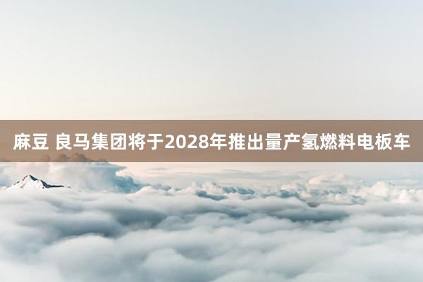 麻豆 良马集团将于2028年推出量产氢燃料电板车