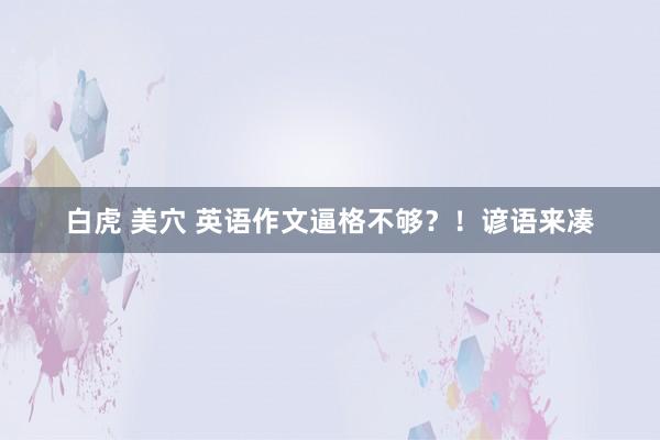 白虎 美穴 英语作文逼格不够？！谚语来凑