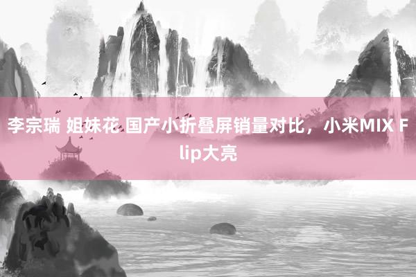 李宗瑞 姐妹花 国产小折叠屏销量对比，小米MIX Flip大亮