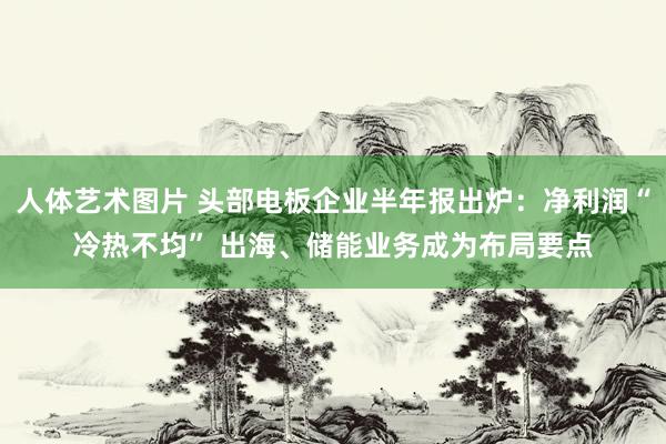 人体艺术图片 头部电板企业半年报出炉：净利润“冷热不均” 出海、储能业务成为布局要点