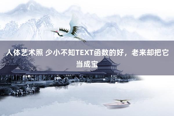 人体艺术照 少小不知TEXT函数的好，老来却把它当成宝