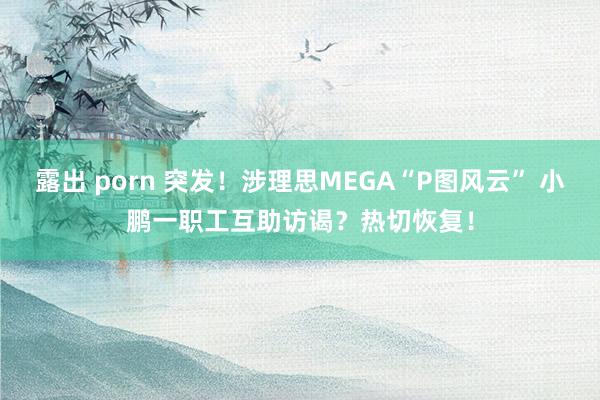 露出 porn 突发！涉理思MEGA“P图风云” 小鹏一职工互助访谒？热切恢复！