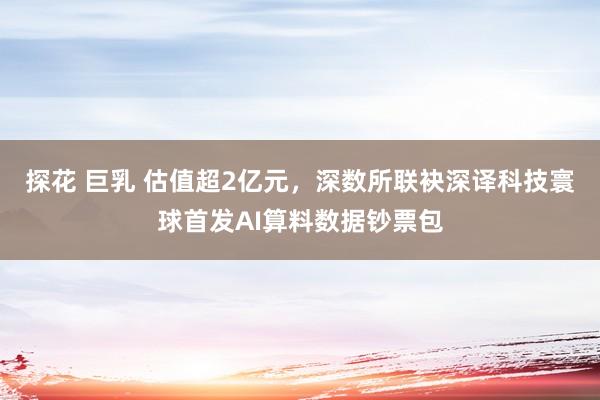 探花 巨乳 估值超2亿元，深数所联袂深译科技寰球首发AI算料数据钞票包