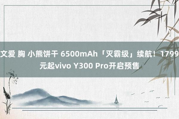 文爱 胸 小熊饼干 6500mAh「灭霸级」续航！1799元起vivo Y300 Pro开启预售