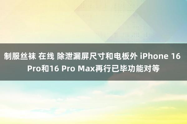 制服丝袜 在线 除泄漏屏尺寸和电板外 iPhone 16 Pro和16 Pro Max再行已毕功能对等