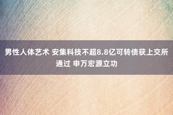 男性人体艺术 安集科技不超8.8亿可转债获上交所通过 申万宏源立功