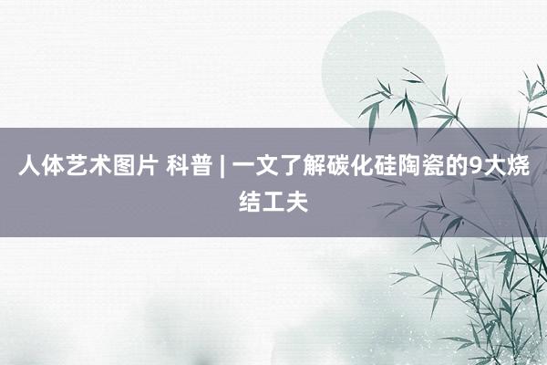 人体艺术图片 科普 | 一文了解碳化硅陶瓷的9大烧结工夫