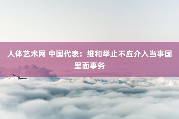 人体艺术网 中国代表：维和举止不应介入当事国里面事务