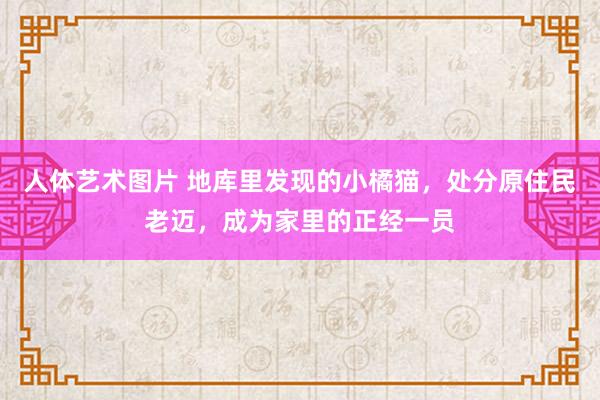 人体艺术图片 地库里发现的小橘猫，处分原住民老迈，成为家里的正经一员