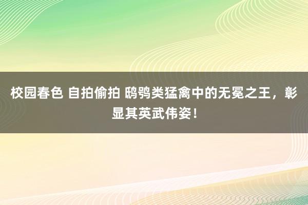 校园春色 自拍偷拍 鸱鸮类猛禽中的无冕之王，彰显其英武伟姿！