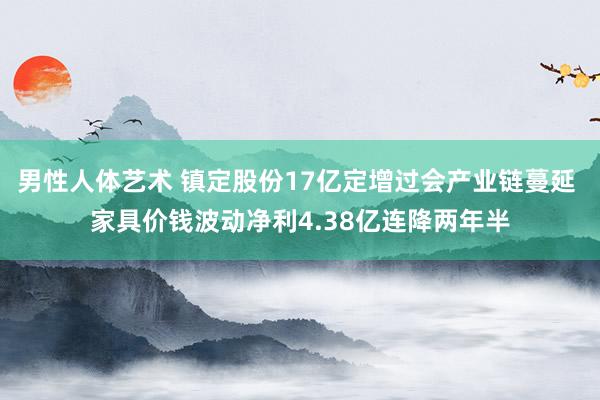 男性人体艺术 镇定股份17亿定增过会产业链蔓延 家具价钱波动净利4.38亿连降两年半