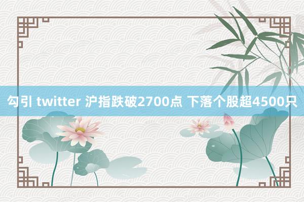 勾引 twitter 沪指跌破2700点 下落个股超4500只