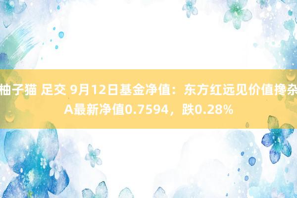 柚子猫 足交 9月12日基金净值：东方红远见价值搀杂A最新净值0.7594，跌0.28%