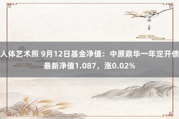 人体艺术照 9月12日基金净值：中原鼎华一年定开债最新净值1.087，涨0.02%