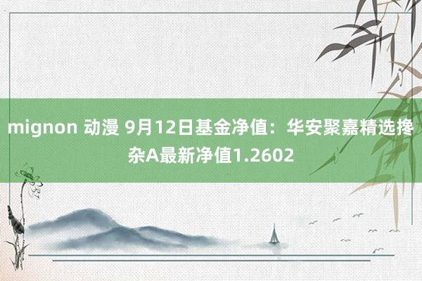 mignon 动漫 9月12日基金净值：华安聚嘉精选搀杂A最新净值1.2602