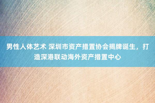 男性人体艺术 深圳市资产措置协会揭牌诞生，打造深港联动海外资产措置中心