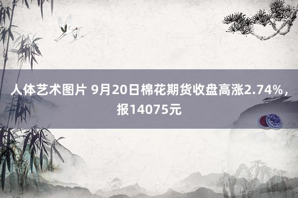 人体艺术图片 9月20日棉花期货收盘高涨2.74%，报14075元