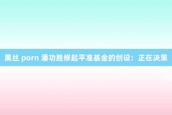 黑丝 porn 潘功胜修起平准基金的创设：正在决策