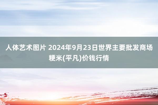 人体艺术图片 2024年9月23日世界主要批发商场粳米(平凡)价钱行情