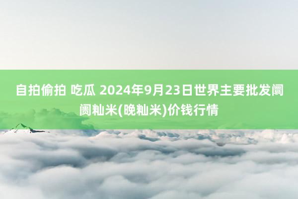 自拍偷拍 吃瓜 2024年9月23日世界主要批发阛阓籼米(晚籼米)价钱行情