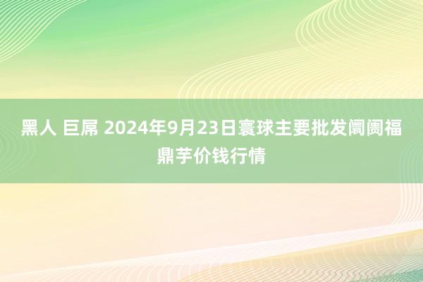 黑人 巨屌 2024年9月23日寰球主要批发阛阓福鼎芋价钱行情