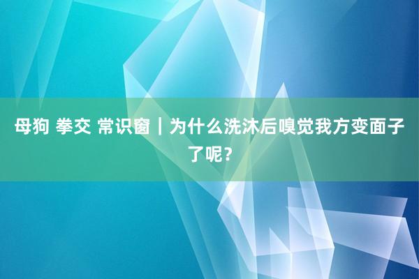 母狗 拳交 常识窗｜为什么洗沐后嗅觉我方变面子了呢？