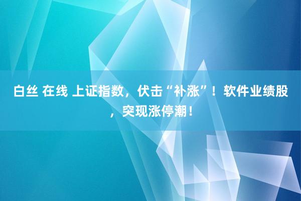 白丝 在线 上证指数，伏击“补涨”！软件业绩股，突现涨停潮！