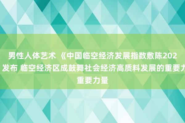 男性人体艺术 《中国临空经济发展指数敷陈2024》发布 临空经济区成鼓舞社会经济高质料发展的重要力量