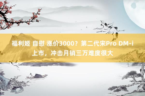 福利姬 自慰 涨价3000？第二代宋Pro DM-i上市，冲击月销三万难度很大