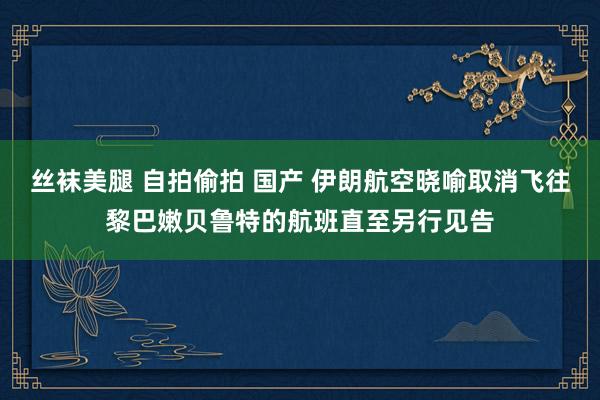 丝袜美腿 自拍偷拍 国产 伊朗航空晓喻取消飞往黎巴嫩贝鲁特的航班直至另行见告