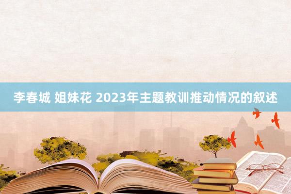 李春城 姐妹花 2023年主题教训推动情况的叙述