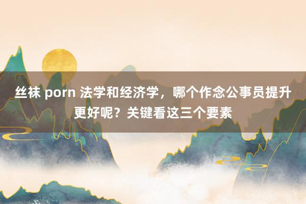 丝袜 porn 法学和经济学，哪个作念公事员提升更好呢？关键看这三个要素