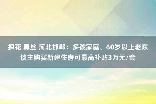 探花 黑丝 河北邯郸：多孩家庭、60岁以上老东谈主购买新建住房可最高补贴3万元/套