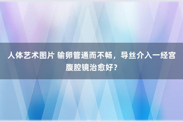 人体艺术图片 输卵管通而不畅，导丝介入一经宫腹腔镜治愈好？