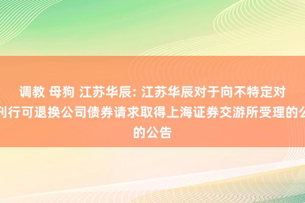 调教 母狗 江苏华辰: 江苏华辰对于向不特定对象刊行可退换公司债券请求取得上海证券交游所受理的公告