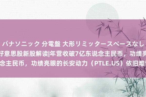 パナソニック 分電盤 大形リミッタースペースなし 露出・半埋込両用形 好意思股新股解读|年营收破7亿东说念主民币，功绩亮眼的长安动力（PTLE.US）依旧难博高估值