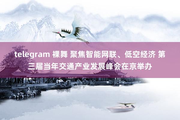 telegram 裸舞 聚焦智能网联、低空经济 第三届当年交通产业发展峰会在京举办