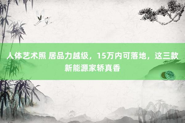 人体艺术照 居品力越级，15万内可落地，这三款新能源家轿真香