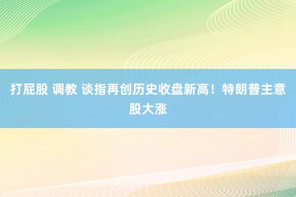 打屁股 调教 谈指再创历史收盘新高！特朗普主意股大涨