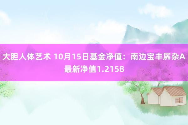 大胆人体艺术 10月15日基金净值：南边宝丰羼杂A最新净值1.2158