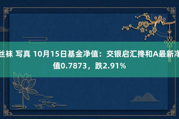 丝袜 写真 10月15日基金净值：交银启汇搀和A最新净值0.7873，跌2.91%