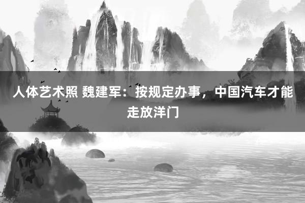 人体艺术照 魏建军：按规定办事，中国汽车才能走放洋门