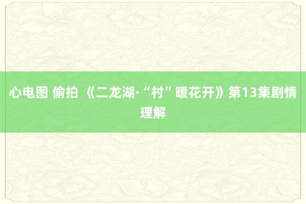 心电图 偷拍 《二龙湖·“村”暖花开》第13集剧情理解