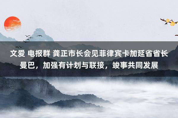 文爱 电报群 龚正市长会见菲律宾卡加延省省长曼巴，加强有计划与联接，竣事共同发展