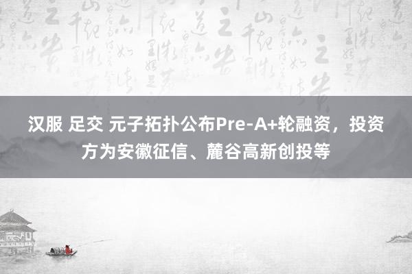 汉服 足交 元子拓扑公布Pre-A+轮融资，投资方为安徽征信、麓谷高新创投等