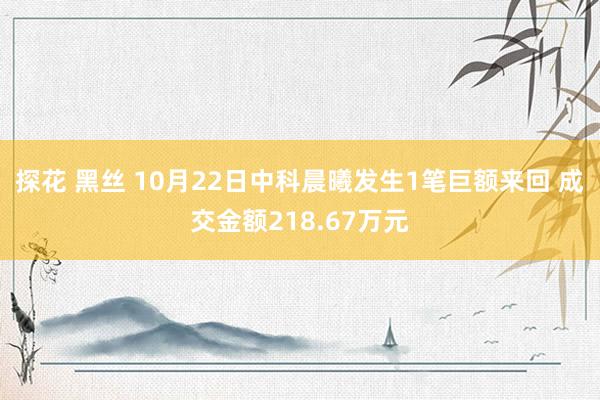 探花 黑丝 10月22日中科晨曦发生1笔巨额来回 成交金额218.67万元