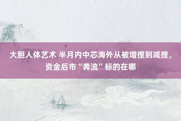 大胆人体艺术 半月内中芯海外从被增捏到减捏，资金后市“奔流”标的在哪