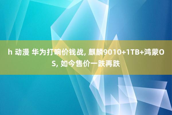 h 动漫 华为打响价钱战， 麒麟9010+1TB+鸿蒙OS， 如今售价一跌再跌