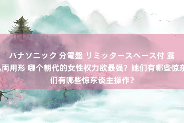 パナソニック 分電盤 リミッタースペース付 露出・半埋込両用形 哪个朝代的女性权力欲最强？她们有哪些惊东谈主操作？