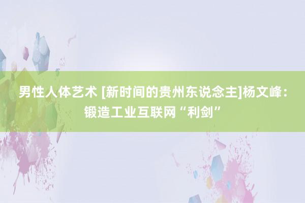 男性人体艺术 [新时间的贵州东说念主]杨文峰：锻造工业互联网“利剑”